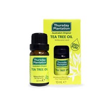 써스데이플랜테이션 (Thursday Plantation) 티트리 오일 10ml