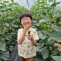 [산지직송][당일수확]GAP인증 못난이 미니 스낵오이 피클용오이 2kg, 못난이 미니오이(B급) 2kg, 1개