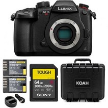 파나소닉 루믹스 gh5s 미러리스 카메라 본체와 64GB 카드 및 액세서리 번들, gh5s 바디 번들