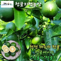 [제주담은농장] 마미템 제주 화산토 청귤 풋귤 지정농가 3kg 5kg 10kg 15kg, 1박스