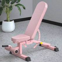 헬스장 평벤치 홈짐 가정용 벤치프레스 의자, 스틸 덤벨 벤치 (핑크 한정판)