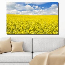 유홍아트 제주도 유채꽃 와이드 풍경 사진 그림 액자 6호(41x27cm) (5729198)