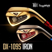 (2020년신제품)[신개념5~8번같은길이/다른거리]도깨비골프 DX-10, 옵션:[옵션] 블랙헤드_샤프트R