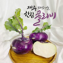 제주 한림 콜라비 15kg