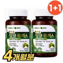 식약처 인증 기억력 영양제 트리플 징코 플러스 은행잎 추출물 혈행 개선 뇌 두뇌 건강 영양제, 60정, 2개