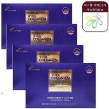 에버콜라겐 로열 에이지 마시는 시그니처 앰플 저분자 피쉬 콜라겐 25ml x 14병+파스텔 헤어끈2개, 4박스+헤어끈