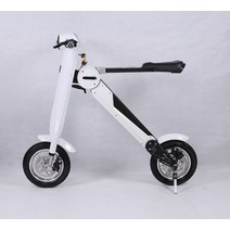 전동보드 전동휠 두바퀴 스마트 균형 스쿠터 공급 업체 성인 전기 36v, 02 인디고, 한개옵션1