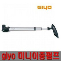 지요 이중 펌프