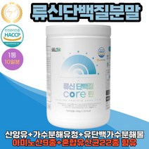 류신단백질 L 로이신 가수분해유청단백 유단백가순분해물 완두단백분말 분리대두단백 400g X 1통 10일분