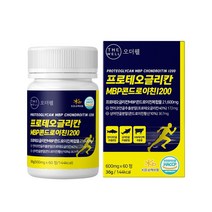 프로테오글리칸 연어코연골 MBP 2형콜라겐 콘드로이친1200 프리테오글리칸 60정 식약청인정 해썹, 60개