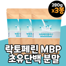 락토페린효능 초유결정체분말 락토페린 유산균 가루 락토페린 락토페리 락토페닌 분말 가루 파우더 파우다 쉐이크 단백질 담백질 먹는법 후기 구입처 LACTOFERRIN
