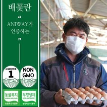 애니웨이 자연방사 동물복지 유정란 배꽃유정란 20구 40구