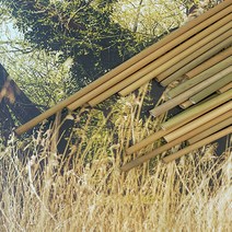 [추석 맞이 세일] 친환경빨대 친환경 빨대 생분해 스트로우 풀빨대 20CM (내경 5~8mm) 250개입 개별포장, 1개