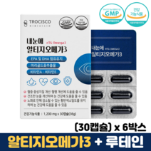 알티지오메가3 식약청인증 오메가3루테인 혈행건강 RTG 오메가쓰리 오메가3 눈영양제, 6박스, 30캡슐