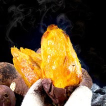 안면도 호박 고구마 10kg /2개구매시 21kg발송, 01_한입(40-60g) 10kg/2개구매시21kg발송