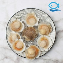 바다해 냉동 반가리비 7-8미 하프 껍질 가리비 구이 반탈각, 단품