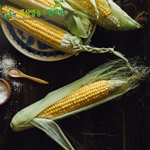 괴산농장 원조 생 냉동 찐냉동 옥수수 초당옥수수 21개 30개, 찐냉동 대학찰, 중품 찐 냉동대학찰15개 12cm전후