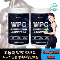 식약처인증 BCAA 류신 발린 이소류신 아미노산 단백질 보충제 보조제 가성비 고함량 WPC 웨이프로틴 파우더 가루 분말 한끼 식사대용 쉐이크 헬스부스터 멸치탈출 근육 강화제