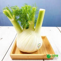 펜넬 1개(약400g)