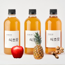 자연발효 천연식초 (오미자/바나나/사과/아로니아/파인애플) 무첨가 수제식초 오가닉비니거 다이어트 먹는법 효능 500ml 5종, 아로니아  천연발효식초