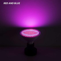 식물성장램프 실내 wenni e27 led e14 led 빛 스펙트럼 전구 gu10 48 60 80 126 200leds 온실 mr16 phyto b22, 빨간색과 파란색, e14 80leds 220v, 2년 보증
