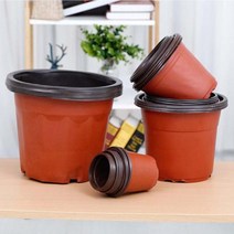 모종 이색 포트 화분(지름 18.5cm) 대량 20P 미니 소형 포트 선인장화분, 《본제품◁