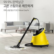카처 다목적 가정용 스팀청소기 고압살균청소기, 카처 스팀청소기 SC2