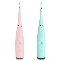 치아 세정기 직수 잇몸 마사지기 구강 수압 칫솔 가정용 청소 치석 청소 치석, 녹색 상자 없음