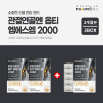 손가락 손목 무릎 관절 연골 뼈 통증 에 좋은 좋아지는 움직임 불편감 감소 노화 기능 개선 엠에스엠 비타민D 아연 디메틸설폰 opti msm, 2+1(3개월분)
