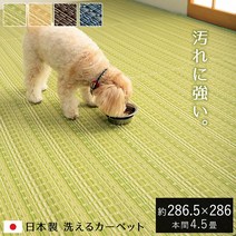 P5 배 1115 러그 씻을 수있는 잔 4.5 다다미 카펫 방 진드기 [ Canon ] 혼마 4.5 다다미 약 286.5 × 286cm 상층 다다미 커버 애완 동물 다이닝 러그 방 곰팡이 제균 스프레이 대응 얼룩 어려운 일본식 폴리 프로필렌