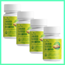 관절 연골 무릎엔 더 튼튼한 프리미엄 보스웰리아 1000, 60정, 4개