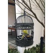 새장 정원 앵무새 키우기 둥지 놀이터 새 집 이동장 분양 전원주택, 단일사이즈, 브론즈 45x45x70