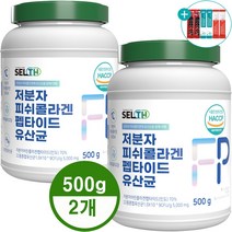 저분자 피쉬콜라겐 펩타이드 유산균 먹는 콜라겐 생선콜라겐 분말 대용량 500g, 2개