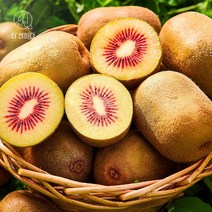 제주 루비골드키위 2kg 5kg 소 중 과, 제주루비골드키위5kg소과(60-70g내외)