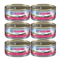 내추럴발란스 캣캔 LID 캔 인도어 연어&병아리콩 156g X 6입, 내추럴발란스 캣캔 인도어 연어