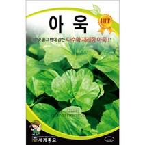 치마 아욱 씨앗 채소 종자 야채 씨 mallow seed 20g