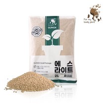 에스라이트 2L 소포장 선인장 다육이 분갈이 화분마감, 에스라이트 2L + 에스라이트 2L, 대립