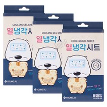 곰탱이 열냉각시트 6매입 3개 영유아용 열패치 냉각 열내림