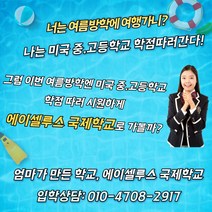 에이셀루스 집중진로 입학상담 1만원권, 집중진로 입학상담 5만원권