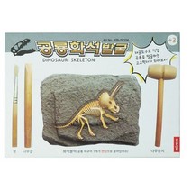 미소로 2500 공룡 화석 발굴키트 2104 156 x 32 x 110 mm, 8개