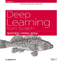 밑바닥부터 시작하는 딥러닝, 단품, 사이토고키