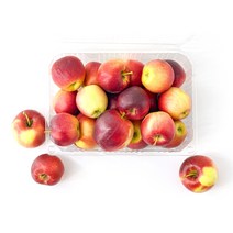 새콤달콤한 과즙 가득 아삭하게 껍찔째 먹는 루비에스 미니사과, 1박스, 2kg