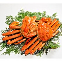 주문진 동해 딱딱이 연지 홍게 자숙, 1개, 박달급 수율 90-100% 3kg 9-11키로