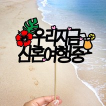 빅토리아데코 새해토퍼 크리스마스 신혼 가족 여행토퍼 피켓 투명 부채토퍼 케이크토퍼 메세지픽 제작, 1개, 여행토퍼_A-321-2-우리지금신혼여행중(색지작업)