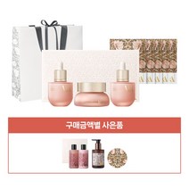 82000원 정품+마스크5매+쇼핑백 V&A 컨투어 스킨케어 에센셜 세트