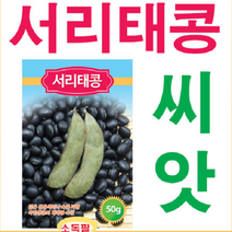 서리태콩 씨앗(50g) H0012