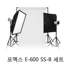 포멕스 E600 SS-B 세트 촬영조명 및 배경 결합 의류촬영 제품촬영 스튜디오, 1개, E600 조명+풀사이즈(272cm)이동형배경세트