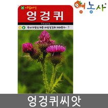 엉겅퀴씨앗 100립 야생 씨앗 재래종 종자 약초 씨, 엉겅퀴
