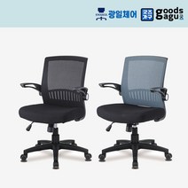 GG 돌단풍 검사출 사무용 학생 공시생 메쉬 의자, 하늘
