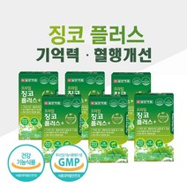 혈액순환 혈행 기억력 개선도움 영양제 징코 은행잎 추출물 플라보놀배당체 효능 비타민 B1 B2 B6 아연 함유 개별포장 건강기능식품 식약처허가 징코 플러스 캡슐 손 발, 여섯 Ea